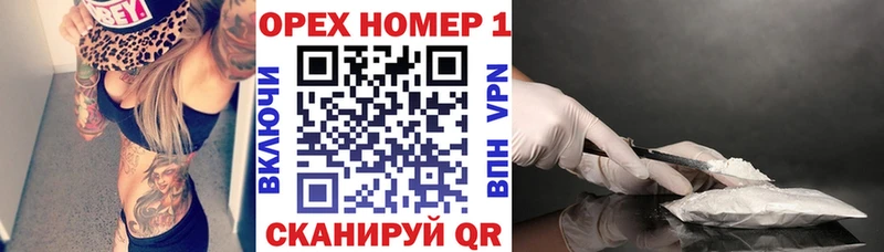 что такое   Курчалой  COCAIN Fish Scale 