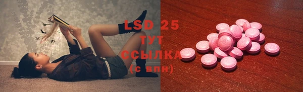 ПСИЛОЦИБИНОВЫЕ ГРИБЫ Балабаново