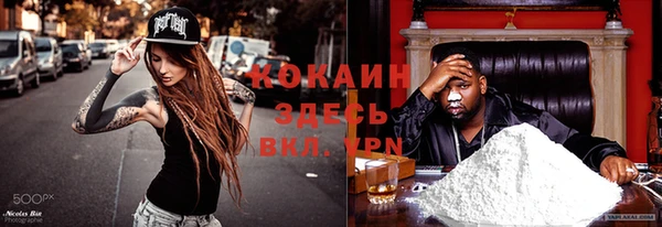 ПСИЛОЦИБИНОВЫЕ ГРИБЫ Балабаново
